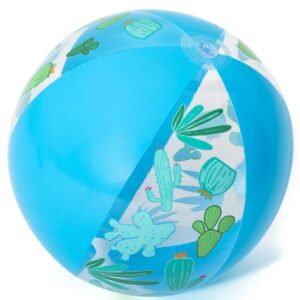 Wasserball lustig Kaktus