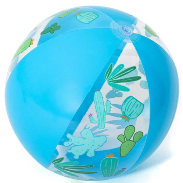 Wasserball lustig Kaktus